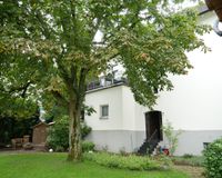Alter Baumbestand