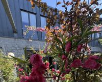 Rückansicht vom Gartenbereich