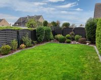 in sonniger West-Lage