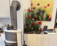 Kaminofen im Wohnzimmer