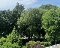 Grünblick